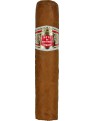 HOYO PETIT ROBUSTO   25  HM