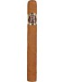 VEGA ROBAINA FAMILIAR  25   HM