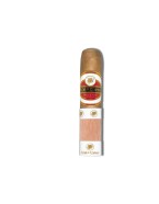 FLOR DE COPAN SHORT ROBUSTO 20