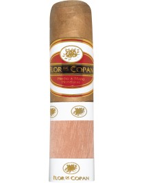 FLOR DE COPAN SHORT MAGNUM 20