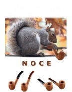 Noce