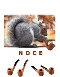 Noce